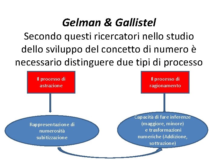 Gelman & Gallistel Secondo questi ricercatori nello studio dello sviluppo del concetto di numero