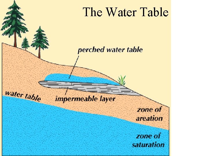 The Water Table 