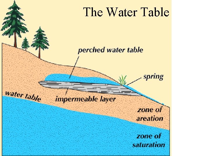 The Water Table 