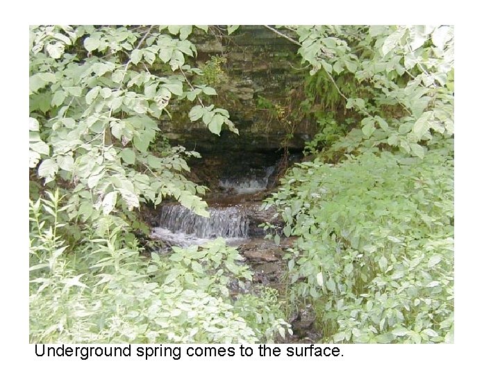 Underground spring comes to the surface. 