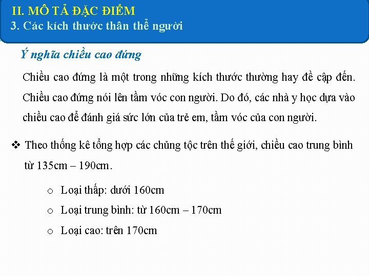 II. MÔ TẢ ĐẶC ĐIỂM 3. Các kích thước thân thể người Ý nghĩa II. MÔ TẢ ĐẶC ĐIỂM 3. Các kích thước thân thể người Ý nghĩa
