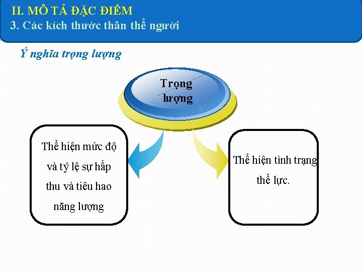 II. MÔ TẢ ĐẶC ĐIỂM 3. Các kích thước thân thể người Ý nghĩa II. MÔ TẢ ĐẶC ĐIỂM 3. Các kích thước thân thể người Ý nghĩa