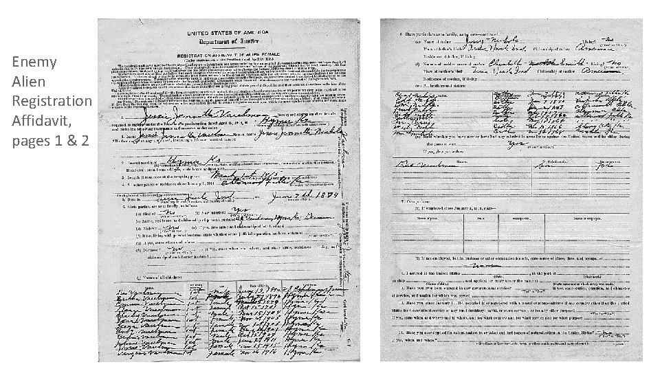 Enemy Alien Registration Affidavit, pages 1 & 2 Enemy Alien Registration Affidavit, pages 1 & 2