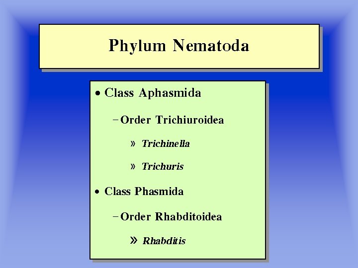 Phylum Nematoda • Class Aphasmida – Order Trichiuroidea » » Trichinella Trichuris • Class