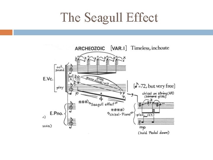 The Seagull Effect 