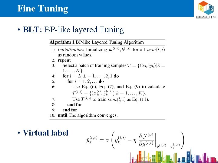 Fine Tuning • BLT: BP-like layered Tuning • Virtual label 