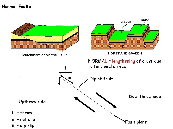 Normal Faults NORMAL = lengthening of crust due to tensional stress ii i Upthrow