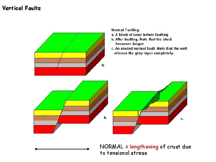 Vertical Faults NORMAL = lengthening of crust due to tensional stress 