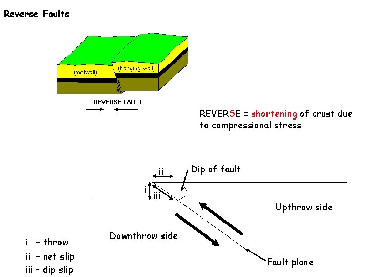 Reverse Faults REVERSE = shortening of crust due to compressional stress ii i i