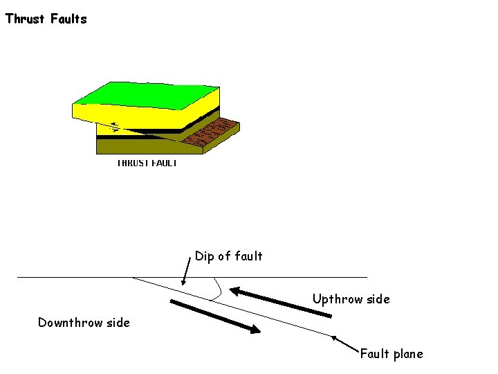 Thrust Faults Dip of fault Upthrow side Downthrow side Fault plane 