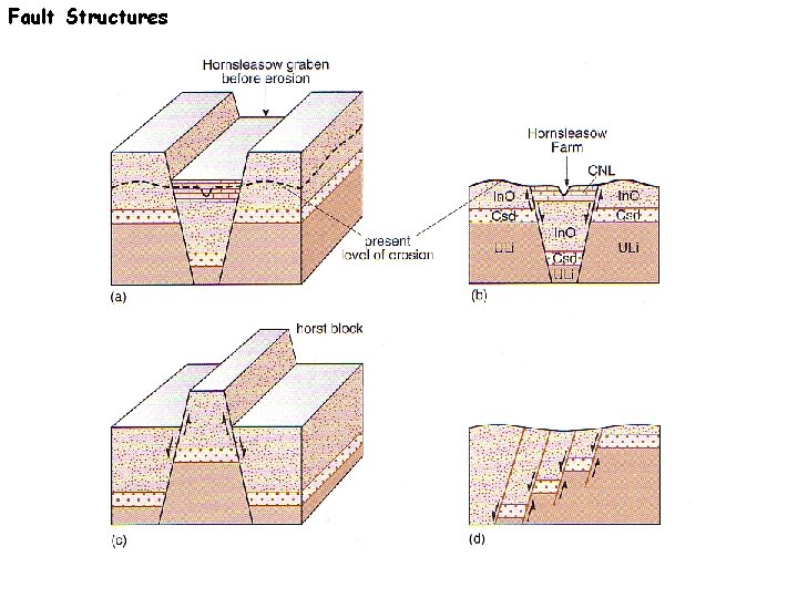 Fault Structures 