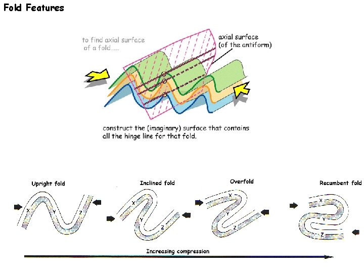 Fold Features 