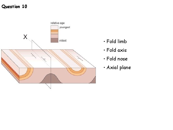 Question 10 • Fold limb • Fold axis • Fold nose • Axial plane