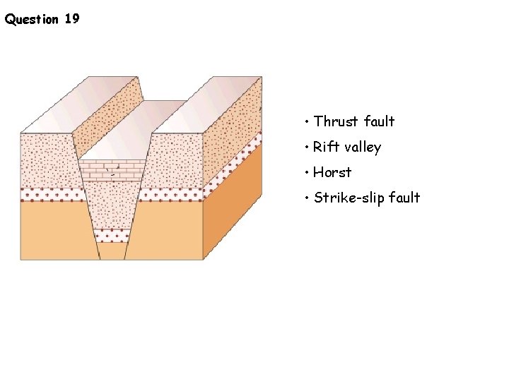 Question 19 • Thrust fault • Rift valley • Horst • Strike-slip fault 