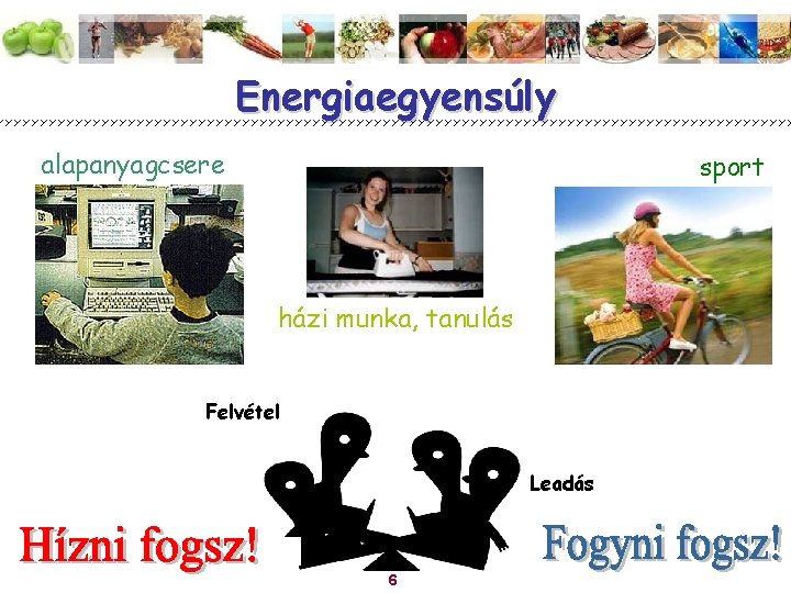 Energiaegyensúly alapanyagcsere sport házi munka, tanulás Felvétel Leadás 6 