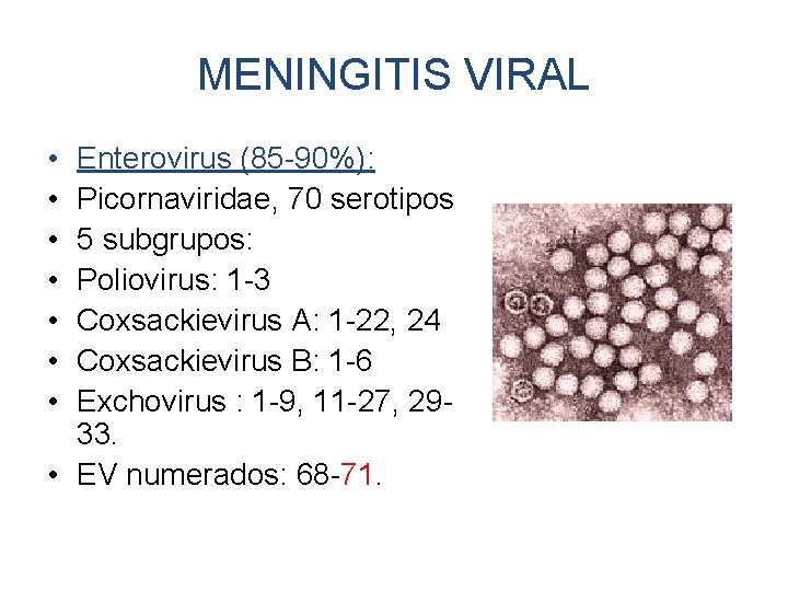 MENINGITIS VIRAL • • Enterovirus (85 -90%): Picornaviridae, 70 serotipos 5 subgrupos: Poliovirus: 1