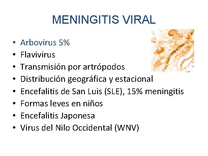 MENINGITIS VIRAL • • Arbovirus 5% Flavivirus Transmisión por artrópodos Distribución geográfica y estacional