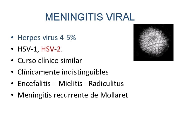 MENINGITIS VIRAL • • • Herpes virus 4 -5% HSV-1, HSV-2. Curso clínico similar