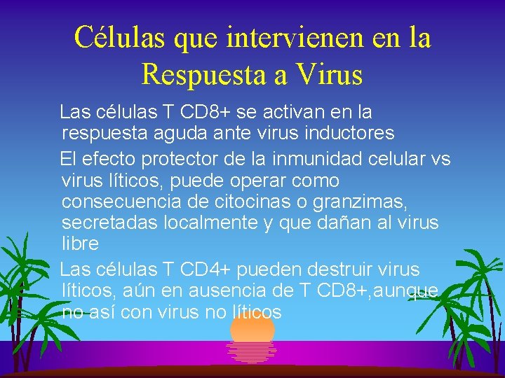 Células que intervienen en la Respuesta a Virus Las células T CD 8+ se