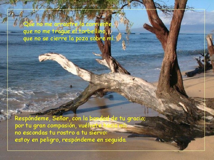 Que no me arrastre la corriente, que no me trague el torbellino, que no