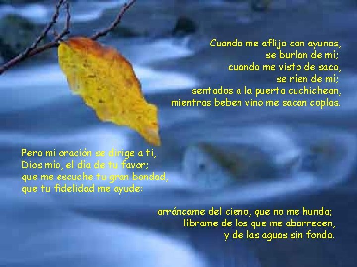 Cuando me aflijo con ayunos, se burlan de mí; cuando me visto de saco,