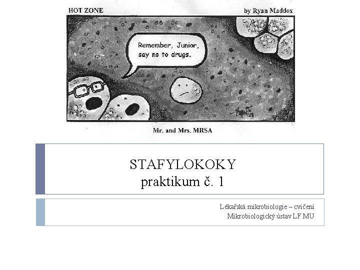 STAFYLOKOKY praktikum č. 1 Lékařská mikrobiologie – cvičení Mikrobiologický ústav LF MU 