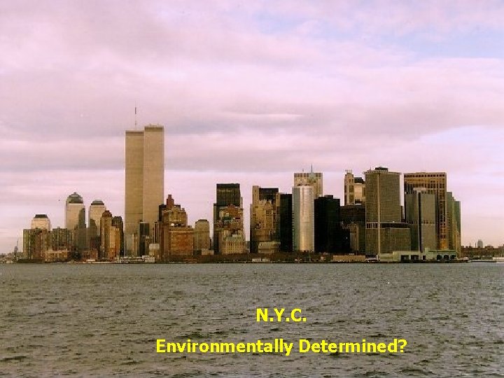 N. Y. C. Environmentally Determined? N. Y. C. Environmentally Determined?