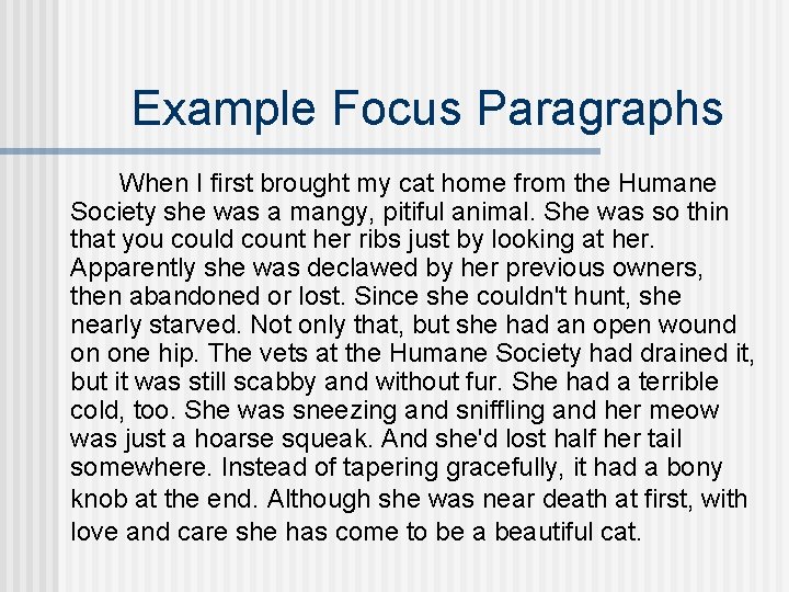 Example Focus Paragraphs When I first brought my cat home from the Humane Society