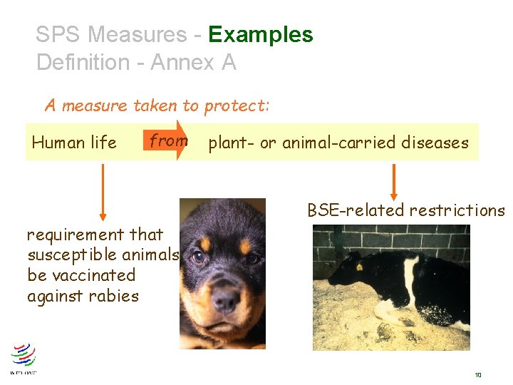 SPS Measures - Examples Definition - Annex A A measure taken to protect: Human