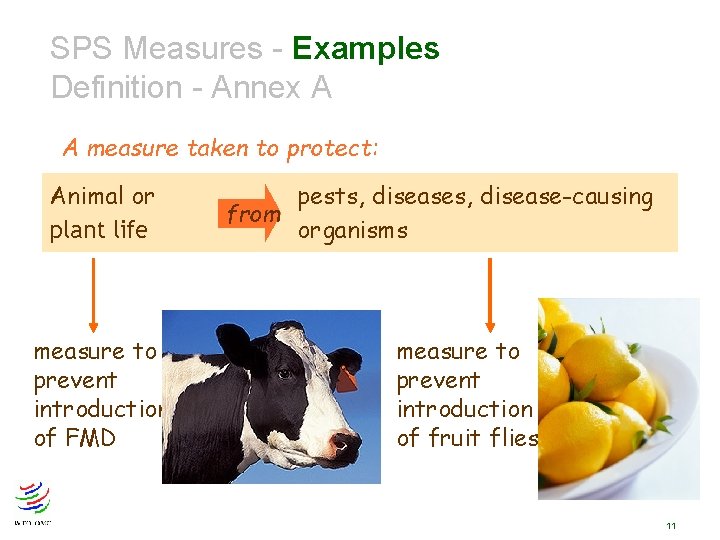 SPS Measures - Examples Definition - Annex A A measure taken to protect: Animal