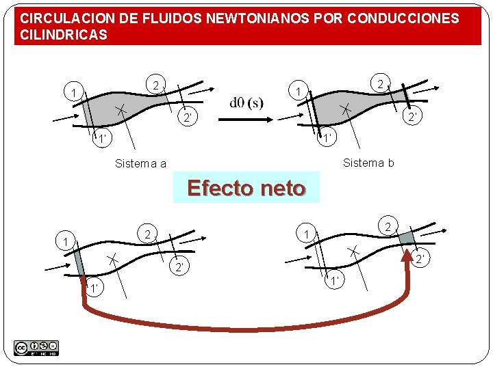 CIRCULACION DE FLUIDOS NEWTONIANOS POR CONDUCCIONES CILINDRICAS 2 1 2’ 2’ 1’ 1’ Sistema