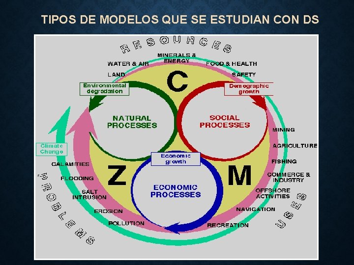 TIPOS DE MODELOS QUE SE ESTUDIAN CON DS 