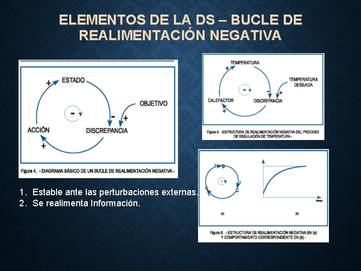 ELEMENTOS DE LA DS – BUCLE DE REALIMENTACIÓN NEGATIVA 1. Estable ante las perturbaciones