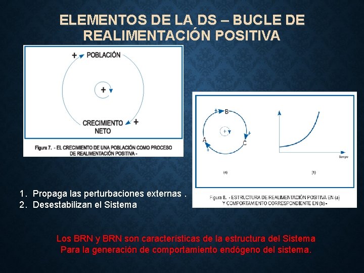 ELEMENTOS DE LA DS – BUCLE DE REALIMENTACIÓN POSITIVA 1. Propaga las perturbaciones externas.