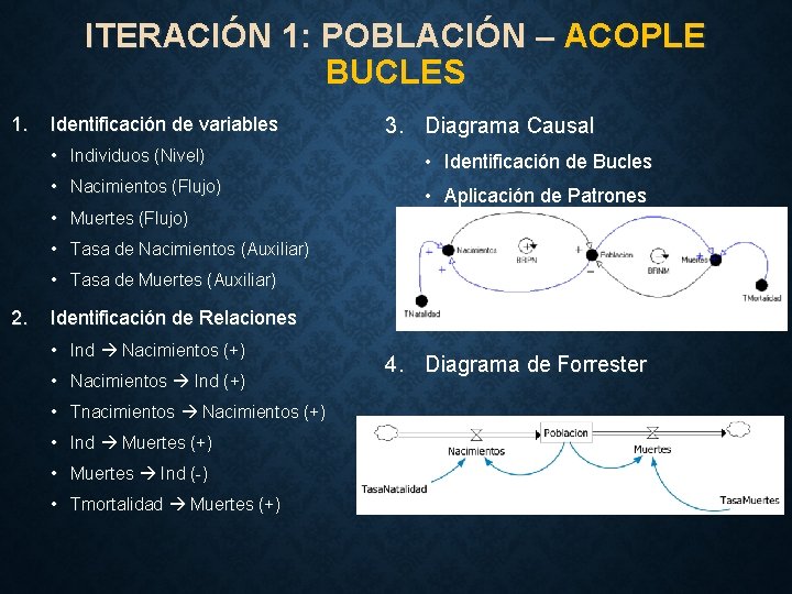 ITERACIÓN 1: POBLACIÓN – ACOPLE BUCLES 1. Identificación de variables 3. Diagrama Causal •