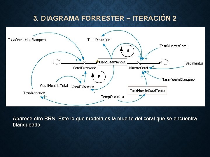 3. DIAGRAMA FORRESTER – ITERACIÓN 2 Aparece otro BRN. Este lo que modela es