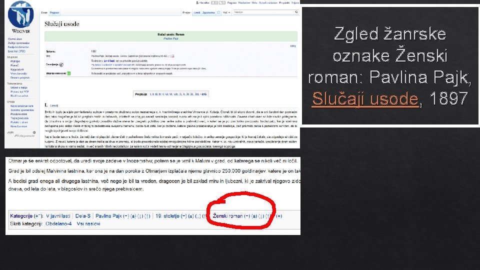 Zgled žanrske oznake Ženski roman: Pavlina Pajk, Slučaji usode, 1897 
