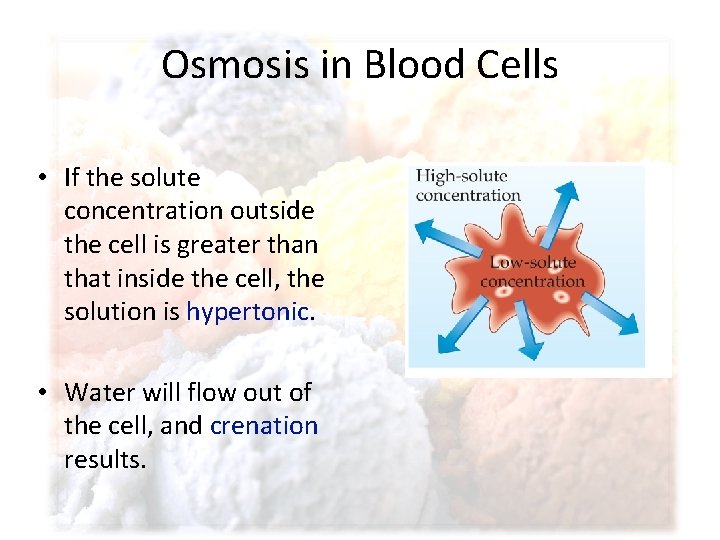Osmosis in Blood Cells • If the solute concentration outside the cell is greater