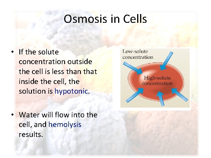 Osmosis in Cells • If the solute concentration outside the cell is less than