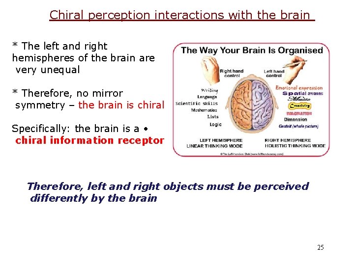 Chiral perception interactions with the brain * The left and right hemispheres of the