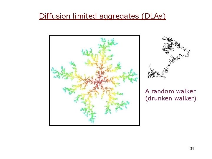 Diffusion limited aggregates (DLAs) A random walker (drunken walker) 34 