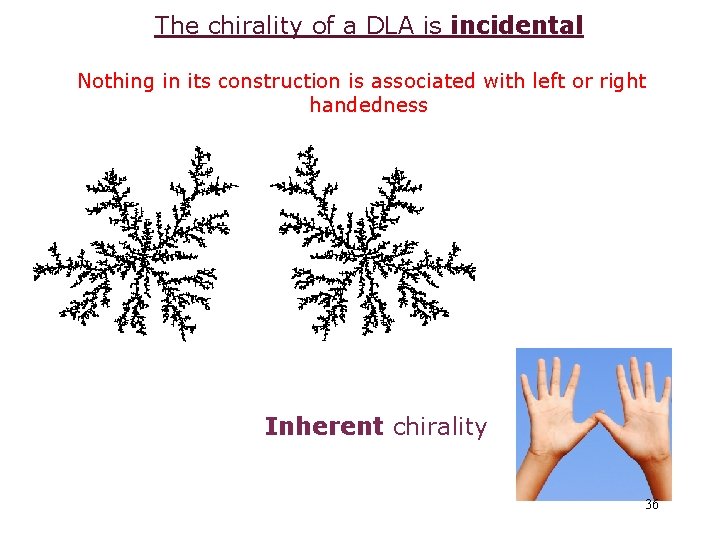 The chirality of a DLA is incidental Nothing in its construction is associated with