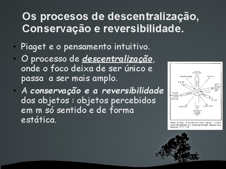 Os procesos de descentralização, Conservação e reversibilidade. • Piaget e o pensamento intuitivo. •