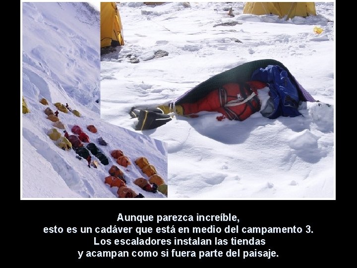 Aunque parezca increíble, esto es un cadáver que está en medio del campamento 3.
