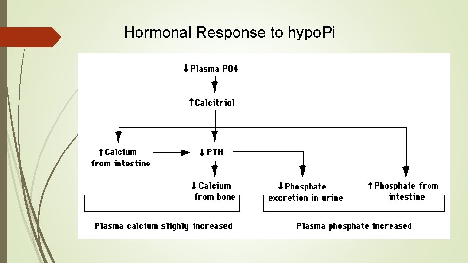 Hormonal Response to hypo. Pi 