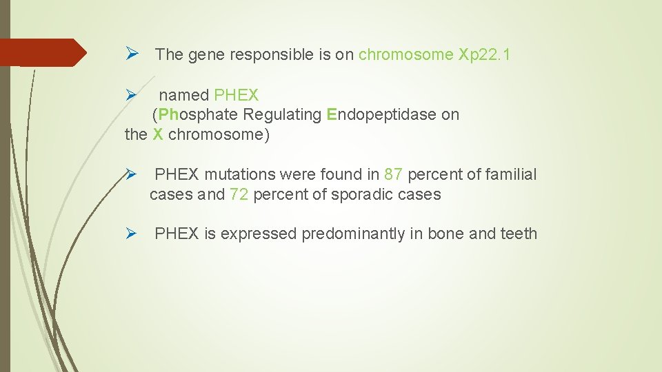 Ø The gene responsible is on chromosome Xp 22. 1 Ø named PHEX (Phosphate