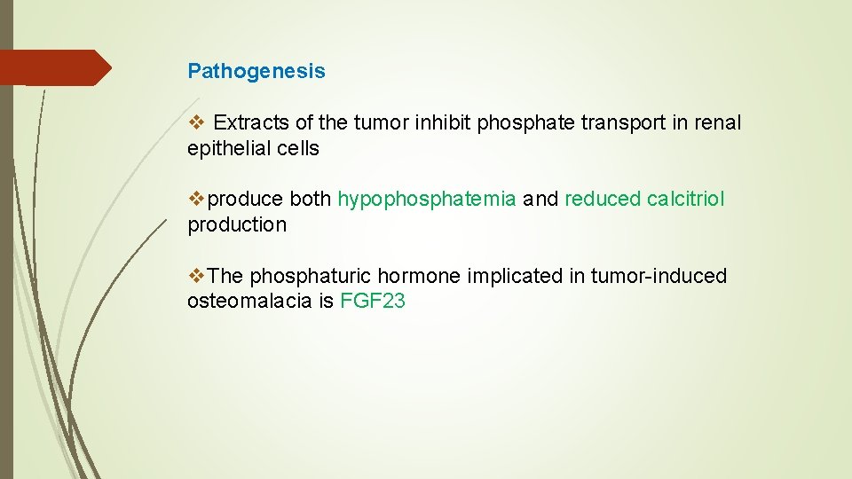 Pathogenesis v Extracts of the tumor inhibit phosphate transport in renal epithelial cells vproduce