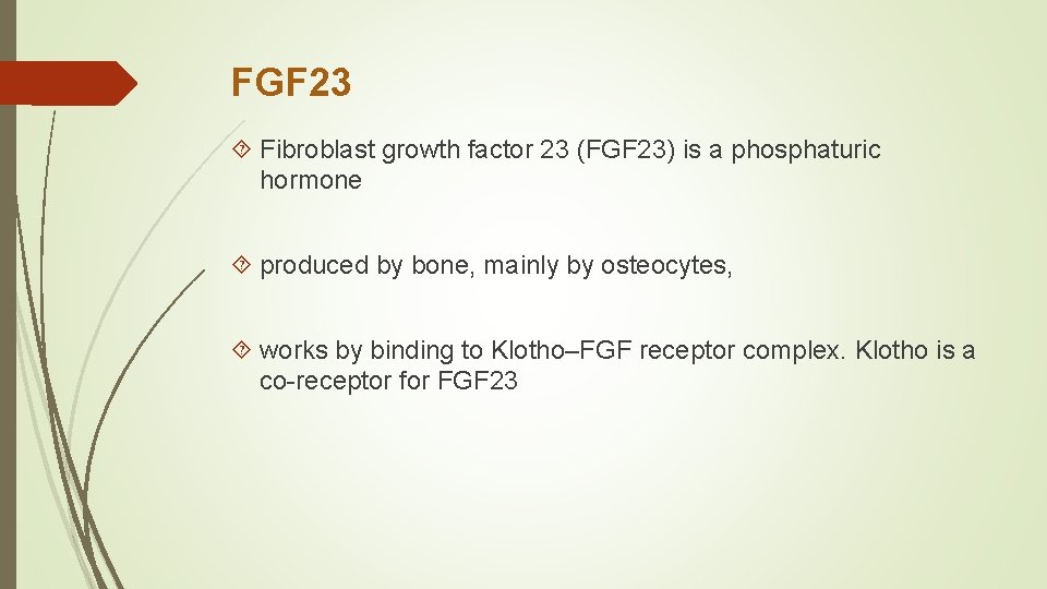 FGF 23 Fibroblast growth factor 23 (FGF 23) is a phosphaturic hormone produced by