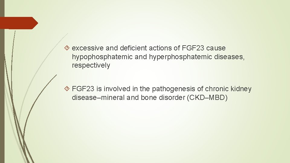  excessive and deficient actions of FGF 23 cause hypophosphatemic and hyperphosphatemic diseases, respectively