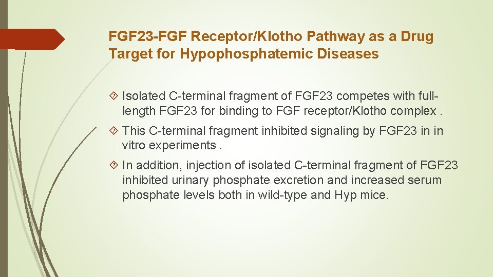 FGF 23 -FGF Receptor/Klotho Pathway as a Drug Target for Hypophosphatemic Diseases Isolated C-terminal